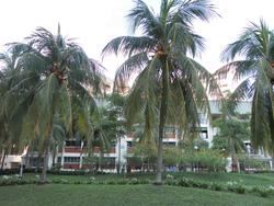 Tampines Court (Enbloc) (D18), Condominium #119158542